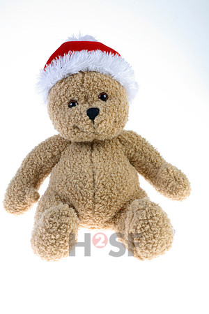 111031SH022H2SF
