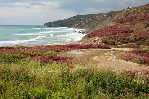110512SH273H2SF