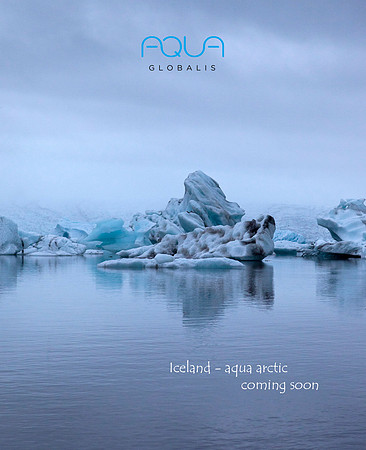 aqua arctic
