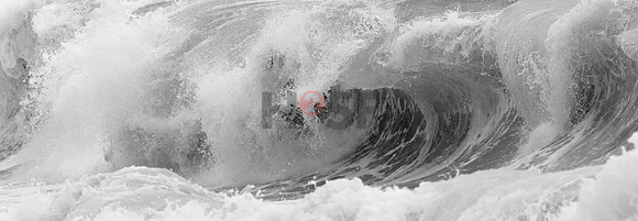 _MG_8570b