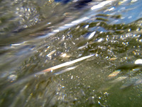 G0040045a