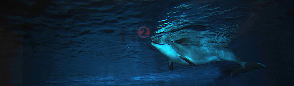 100121SH017.JPG