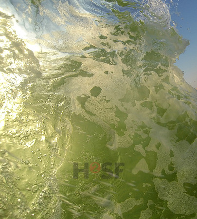 G0970529a