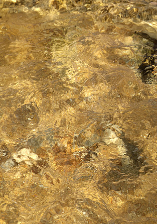 Goldwasser I_03