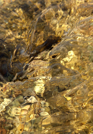 Goldwasser I_05