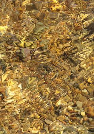 Goldwasser I_06