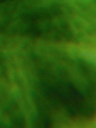 Grünwasser IV_3