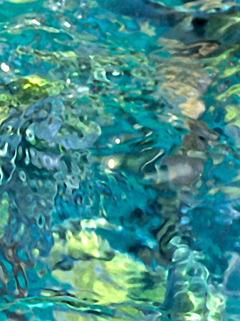 Thaifischwasser I_4