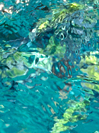 Thaifischwasser I_5