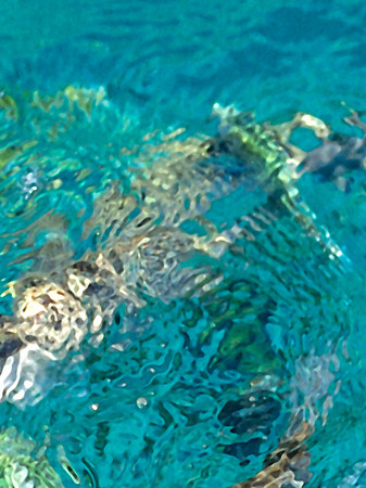Thaifischwasser II_1