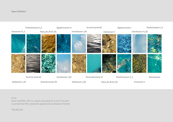 #Tableau Aqua Globalis 01_price