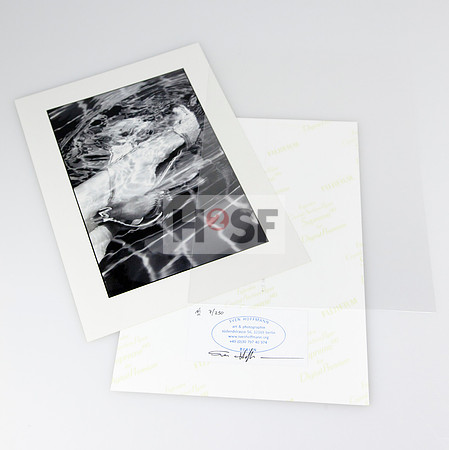 Book_Zeh_limited 02