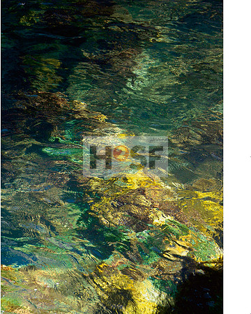 050-059 Agua do Brasil_Seite_02