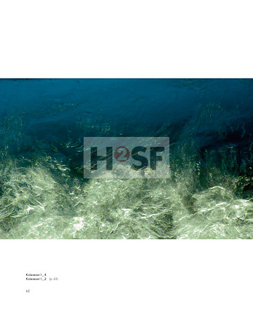 060-065 Koi Water_Seite_3