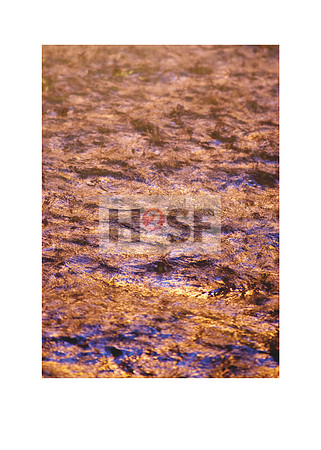 #103