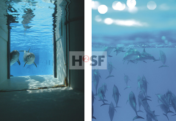 # Umschlag innen_12mm_Aqua Delfinidae