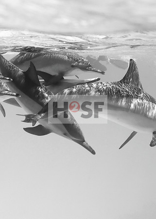 #135