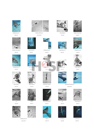 #141_WV02