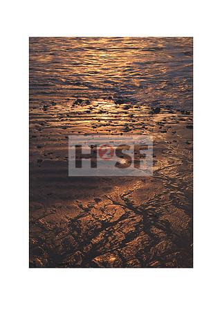 #131