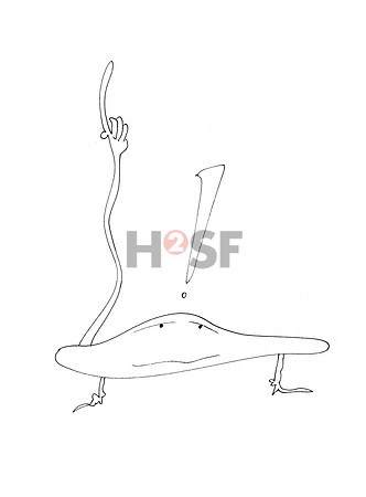 55