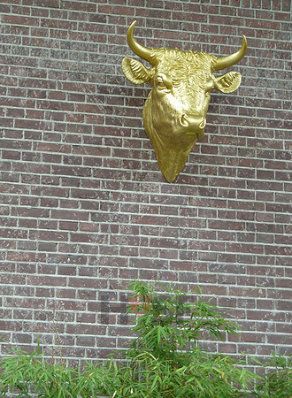 110817SH015H2SF