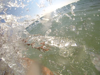 G0090385