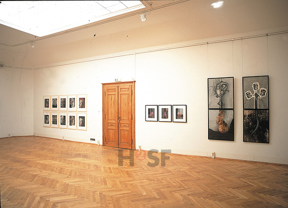 Leonhardi Museum 02