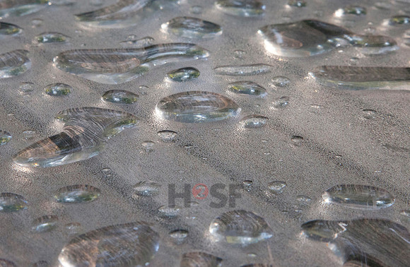 120810SH005H2SF