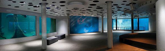Big Blue im Blauer Salon
