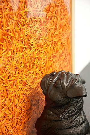 100224SH009