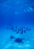 110424SH010H2SF.JPG