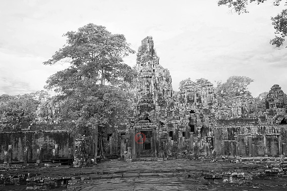 111016SH137H2SF.JPG