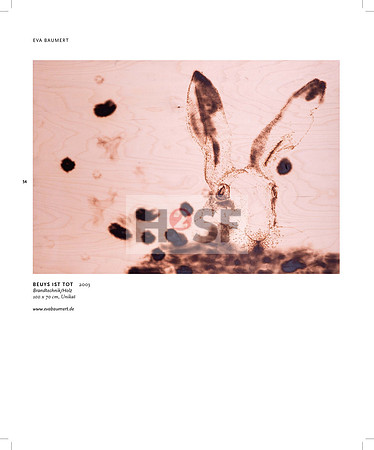 RAA_2015_innenseiten_final_druck_Seite_52