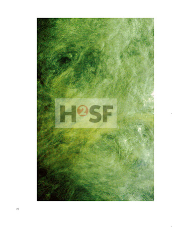 066-073 Rausch der Tiefe_Seite_5