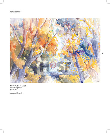 RAA_2015_innenseiten_final_druck_Seite_61