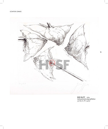 RAA_2015_innenseiten_final_druck_Seite_53