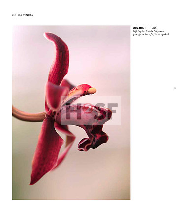RAA_2017_Katalog (59)