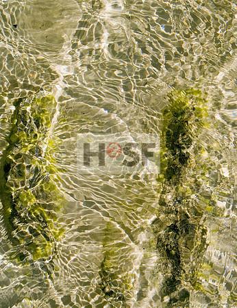 088-095 Red Sea Water_Seite_3