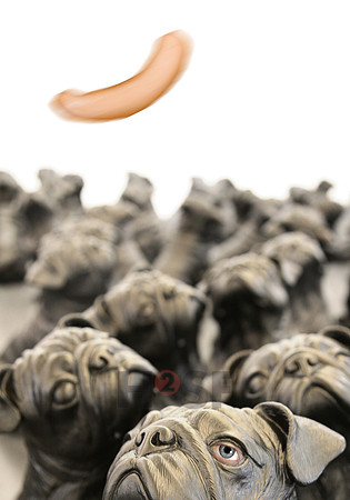 100224SH014