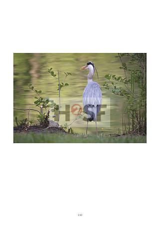 #130